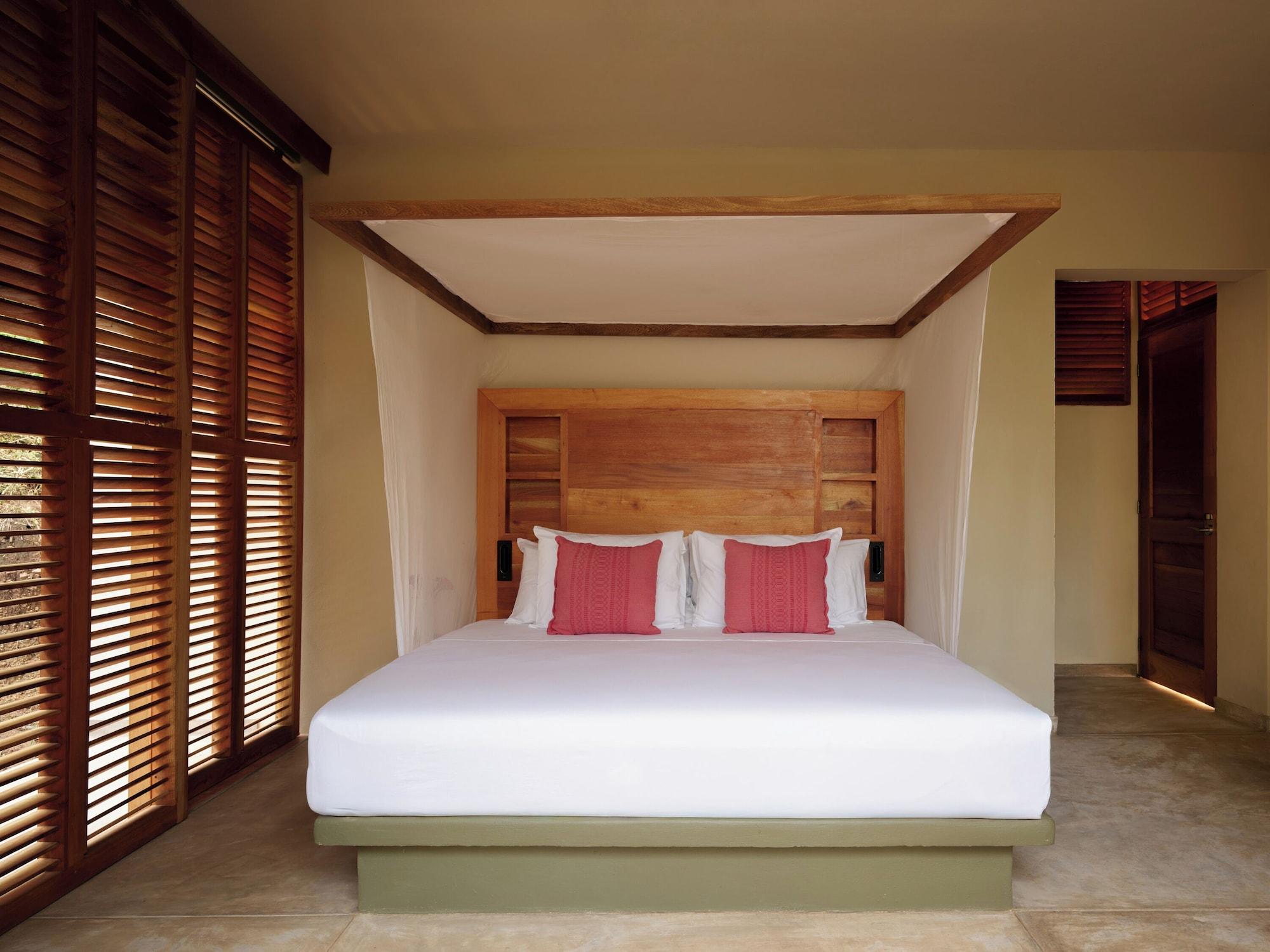 Room, Nature View