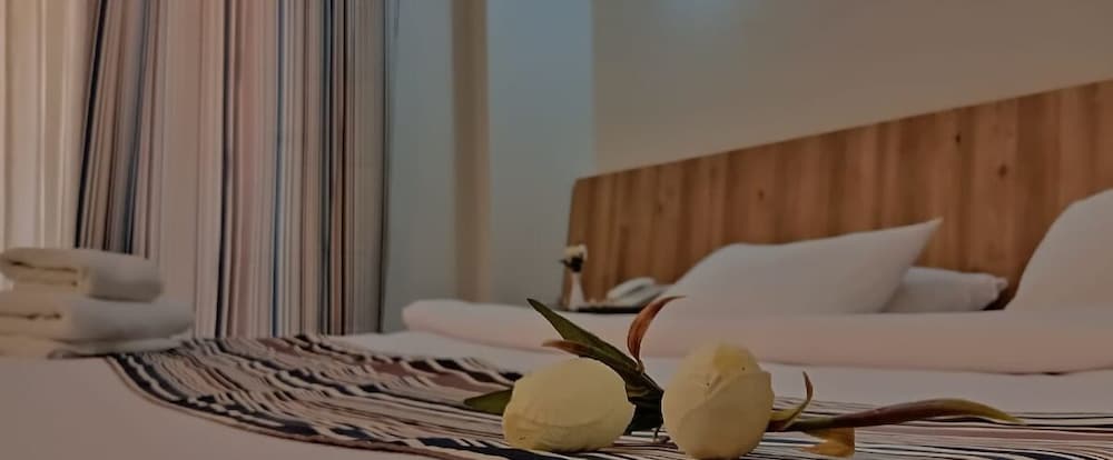 Siesta Marina Hotel 16/30