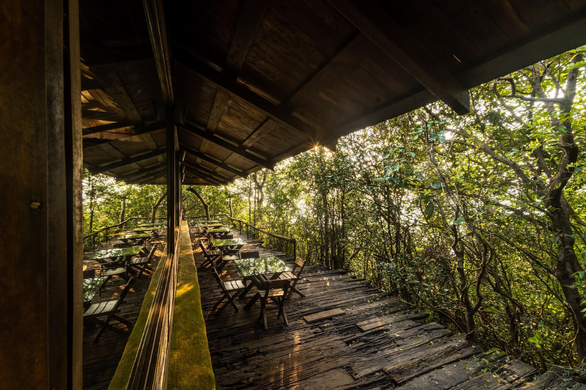 WILDERNEST NATURE RESORT 21/24