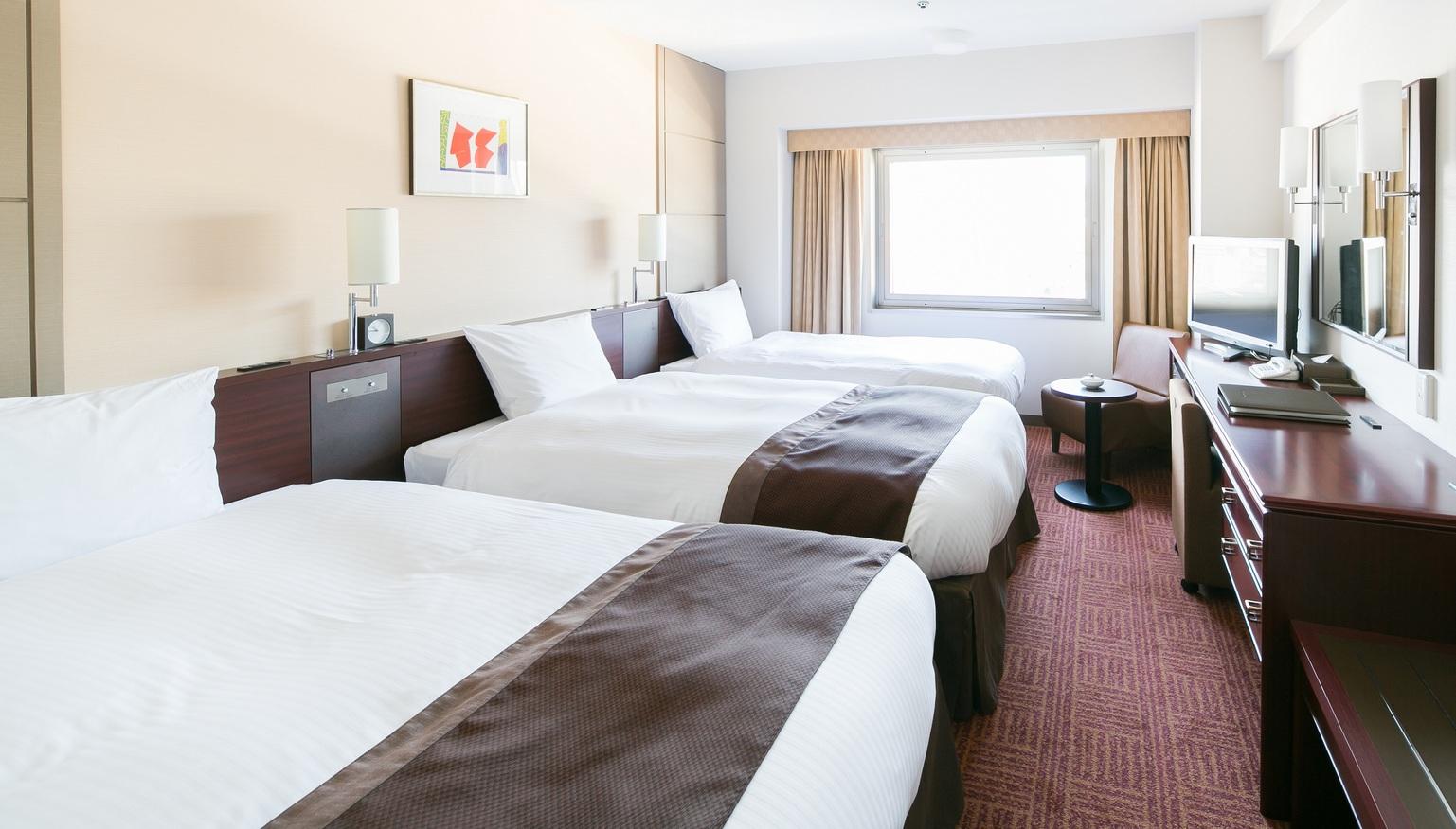 Semi Room, Comfort, Single Bed, 2 Semi Double Beds, with Extra Bed