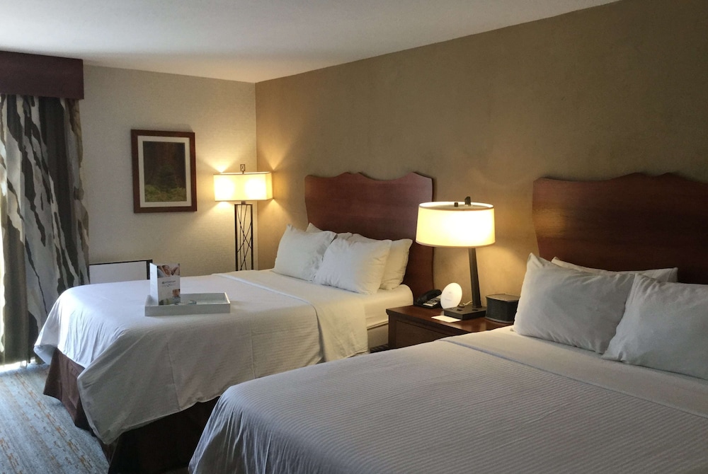 Wellness, Executive, 2 Queen Beds
