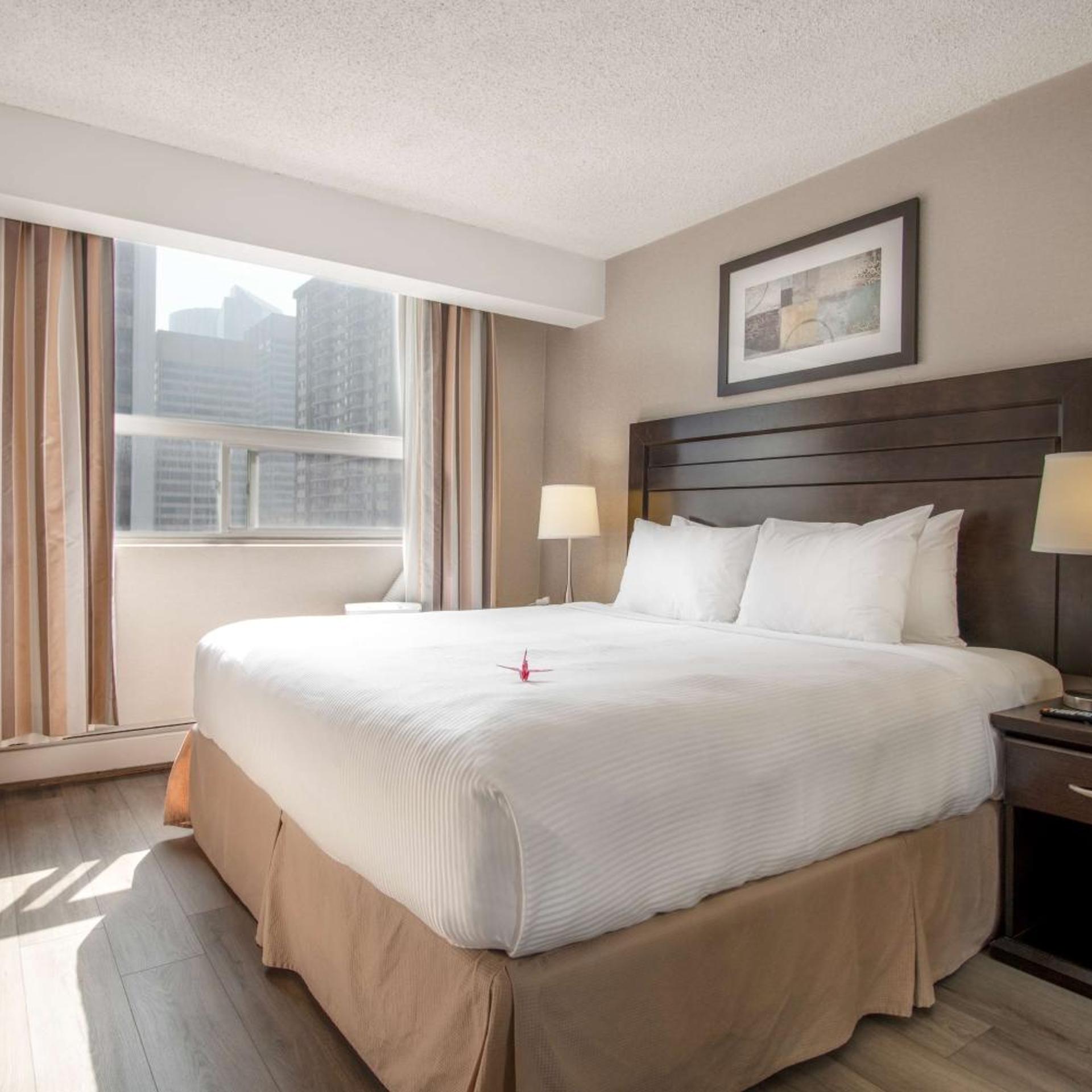 1 Bedroom, Coast, Suite, King Bed