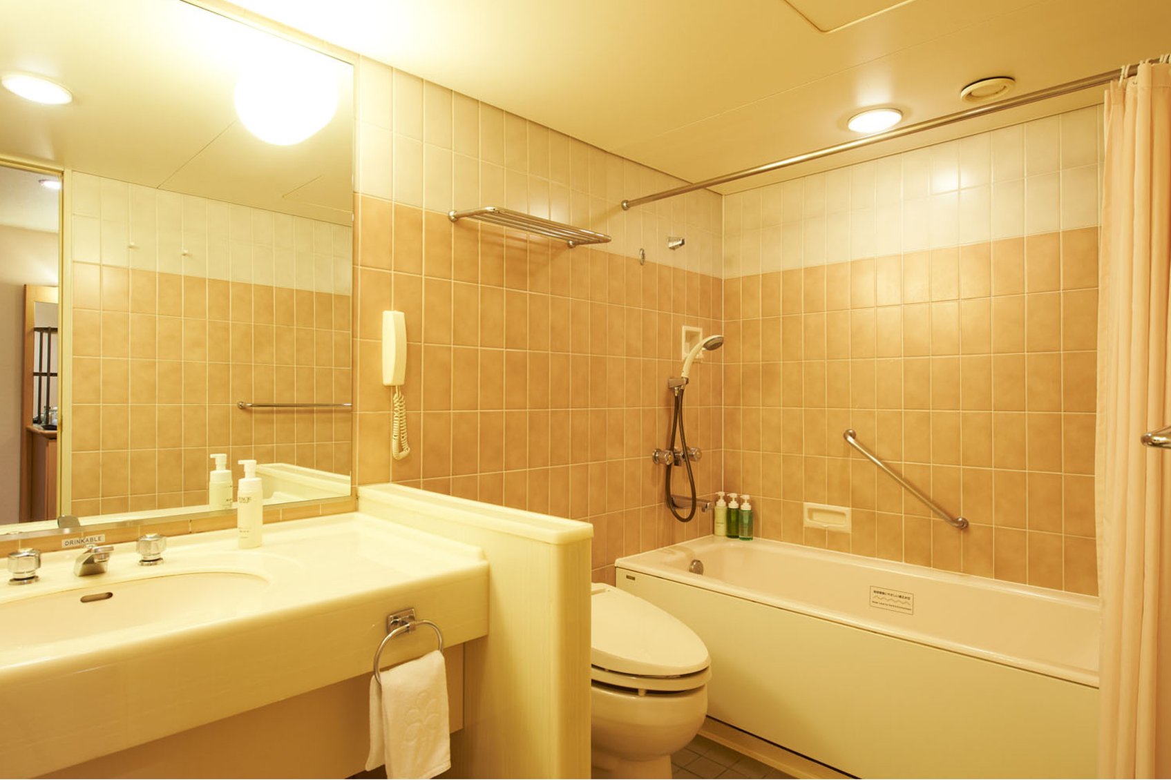 Hotel Nikko Narita 35/36