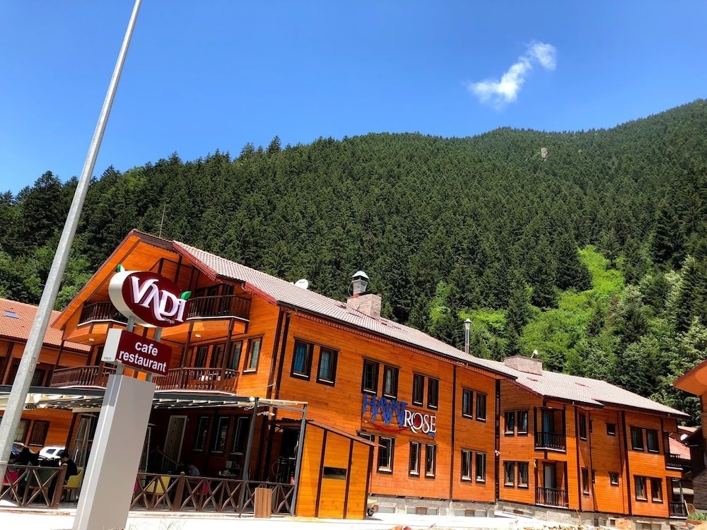 Hayat Rose Hotel 写真3
