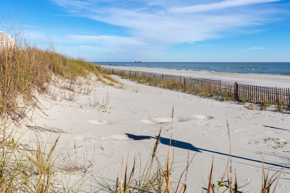 Windy Shores II 39/50