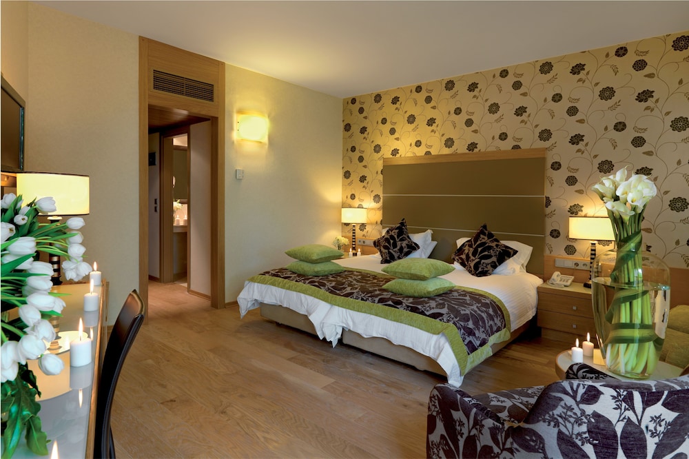 Divani Meteora Hotel 21/78