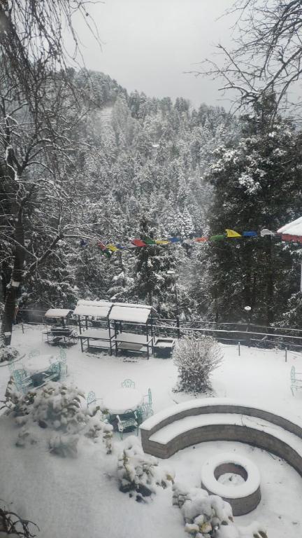 Alps Resorts 40/47