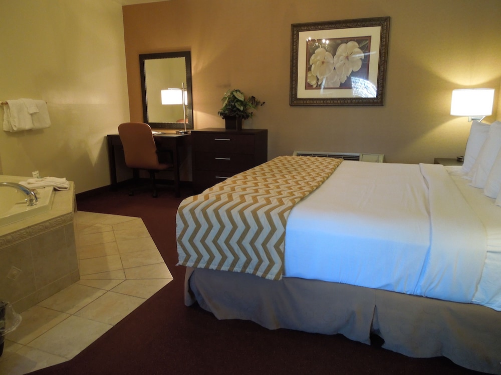 Super 8 by Wyndham Albany 22/51