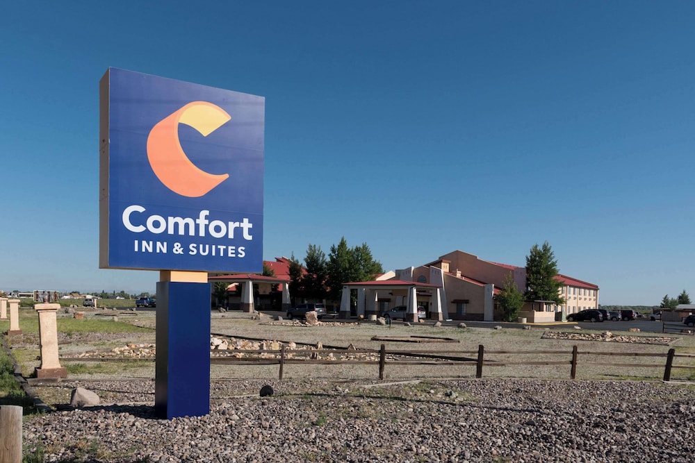 Comfort Inn Suites 65/75