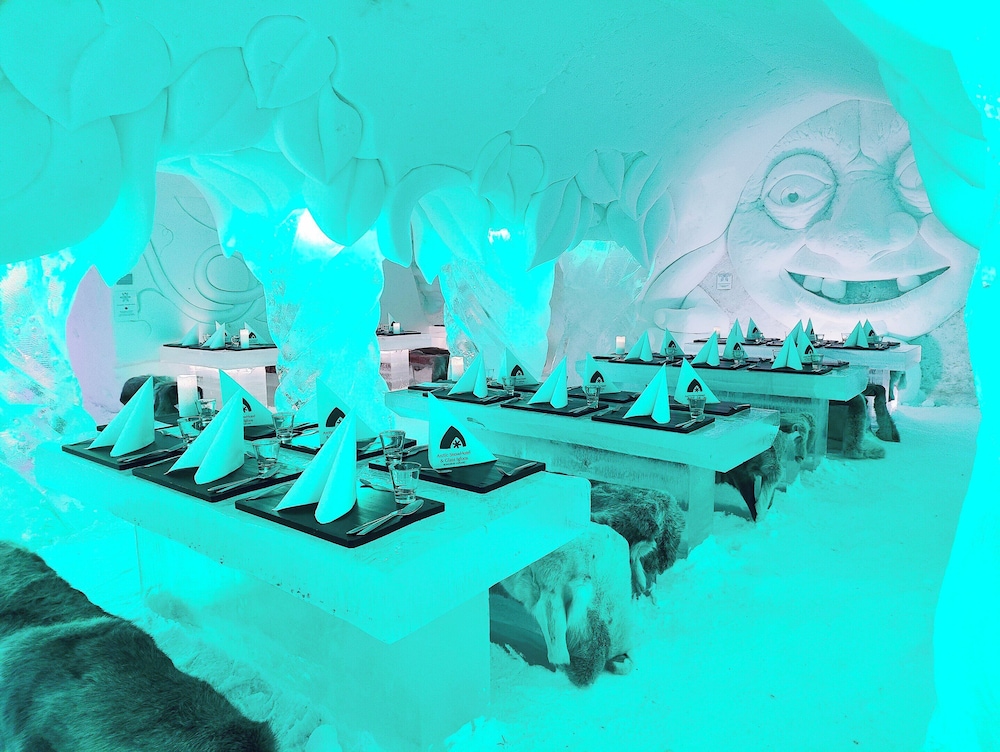 Arctic Snow 34/50