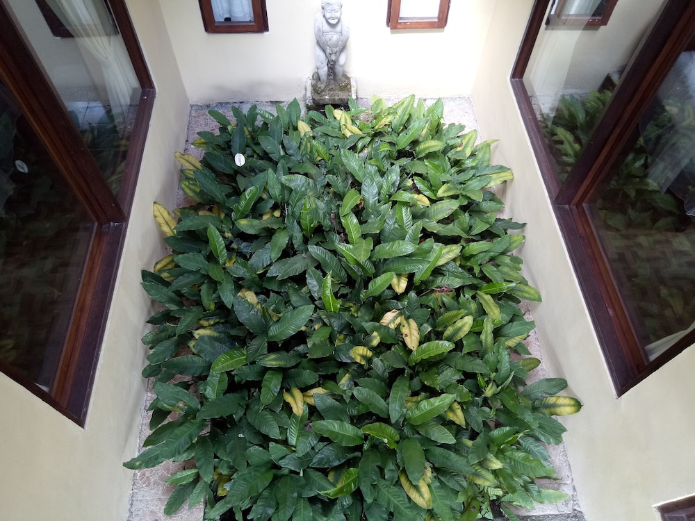 Atres Villa 38/50