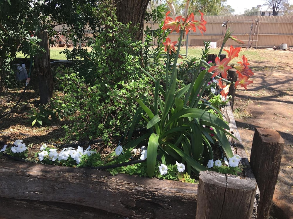 Club Boutique Hotel Cunnamulla 43/50