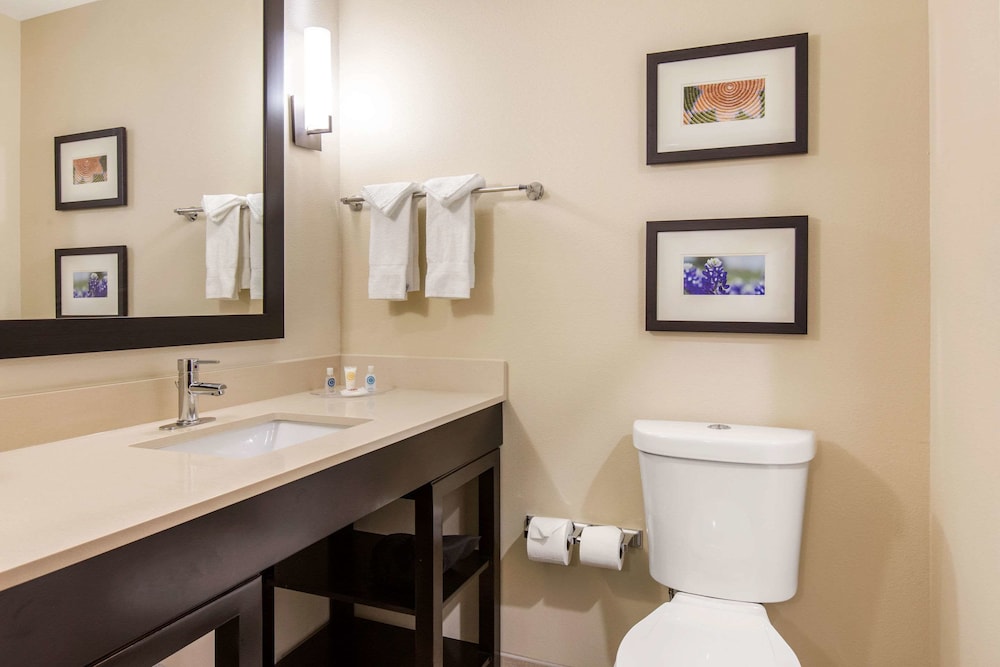 Comfort Suites South Austin 22/25