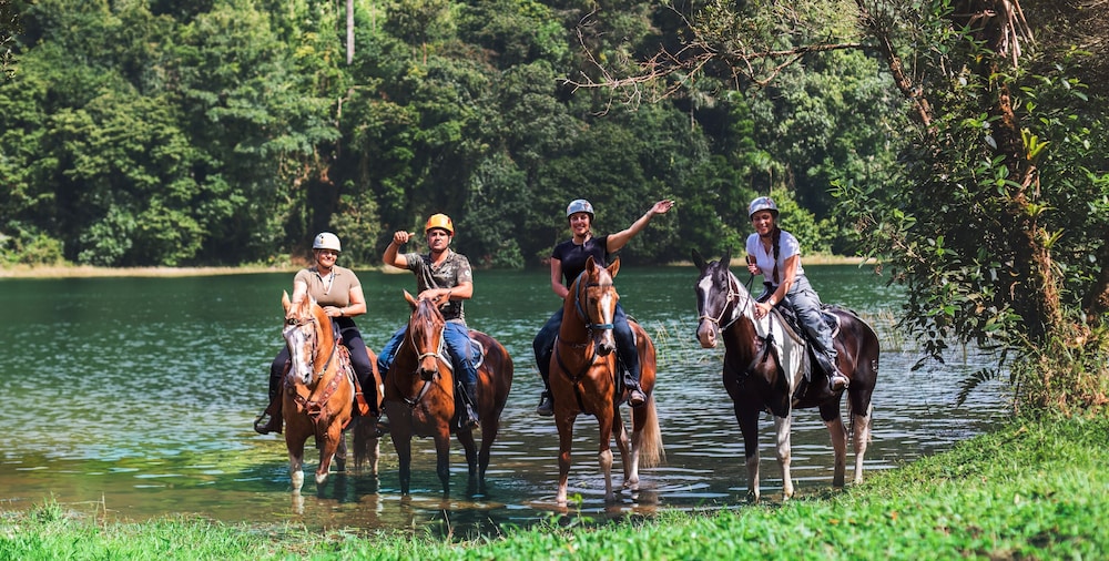 Los Lagos 44/50