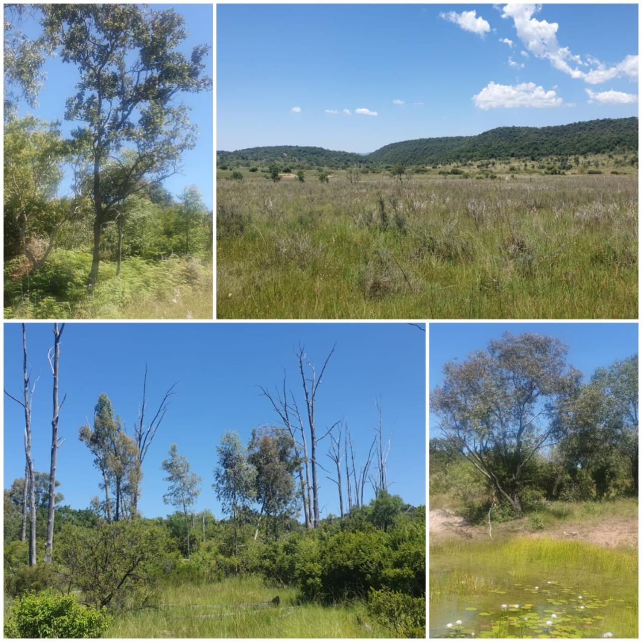 Moletani Game Ranch 46/50