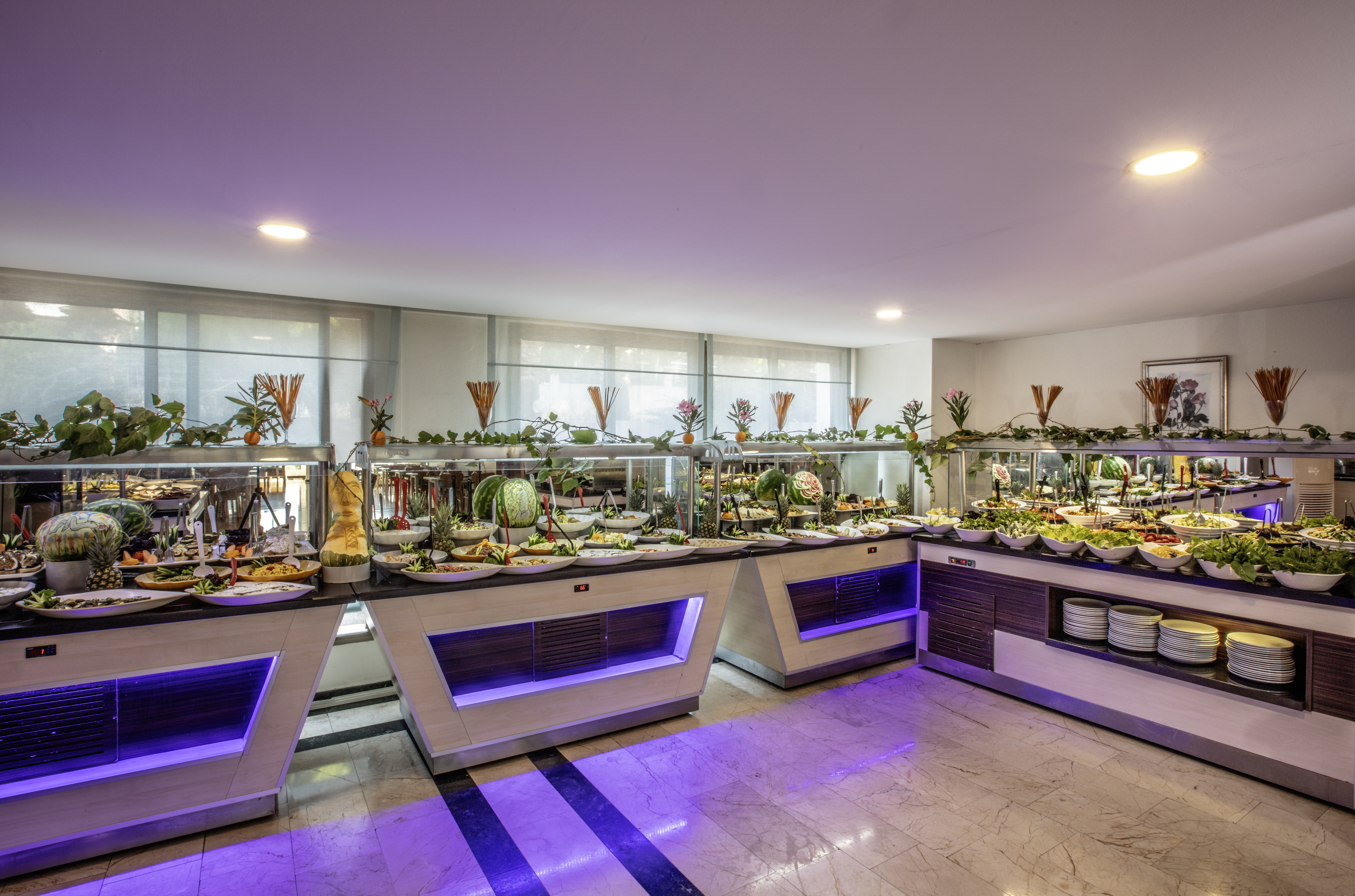 Palmin Hotel 26/50