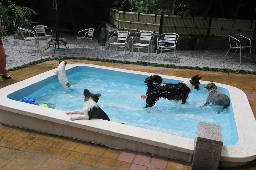 Kinugawa Kokusai Hotel 26/50