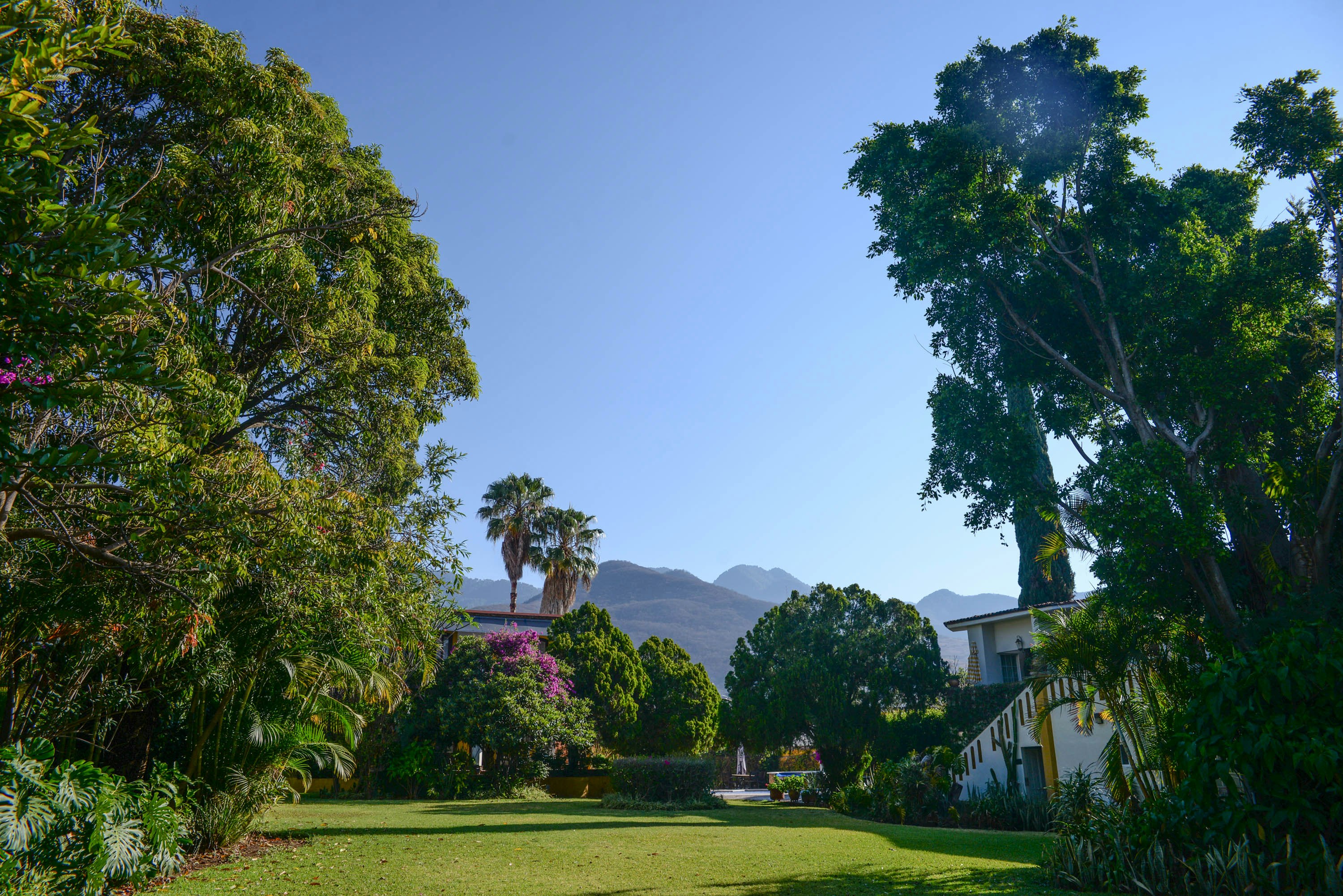 Hacienda Los Laureles 19/28