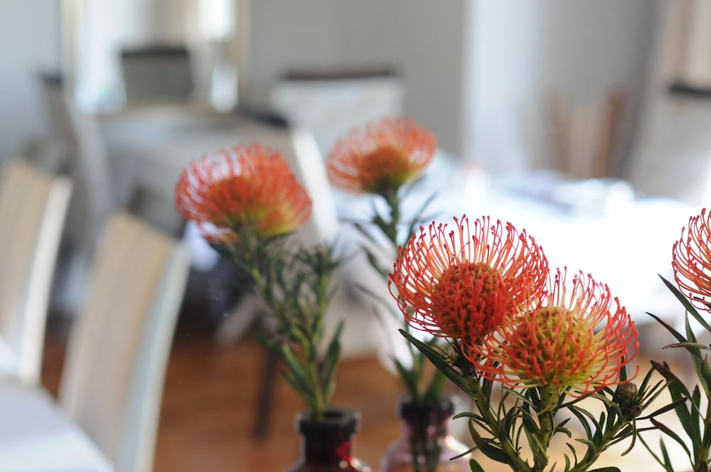 Abbey Manor Luxury Guesthouse 30/70