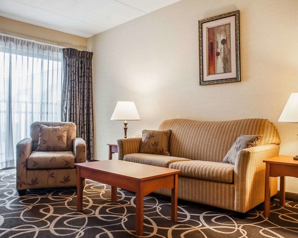 Quality Hotel & Suites At The Falls 37/51