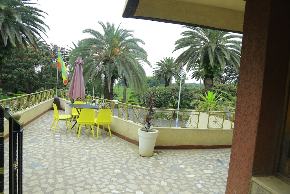 Dib Anbessa Hotel 28/39