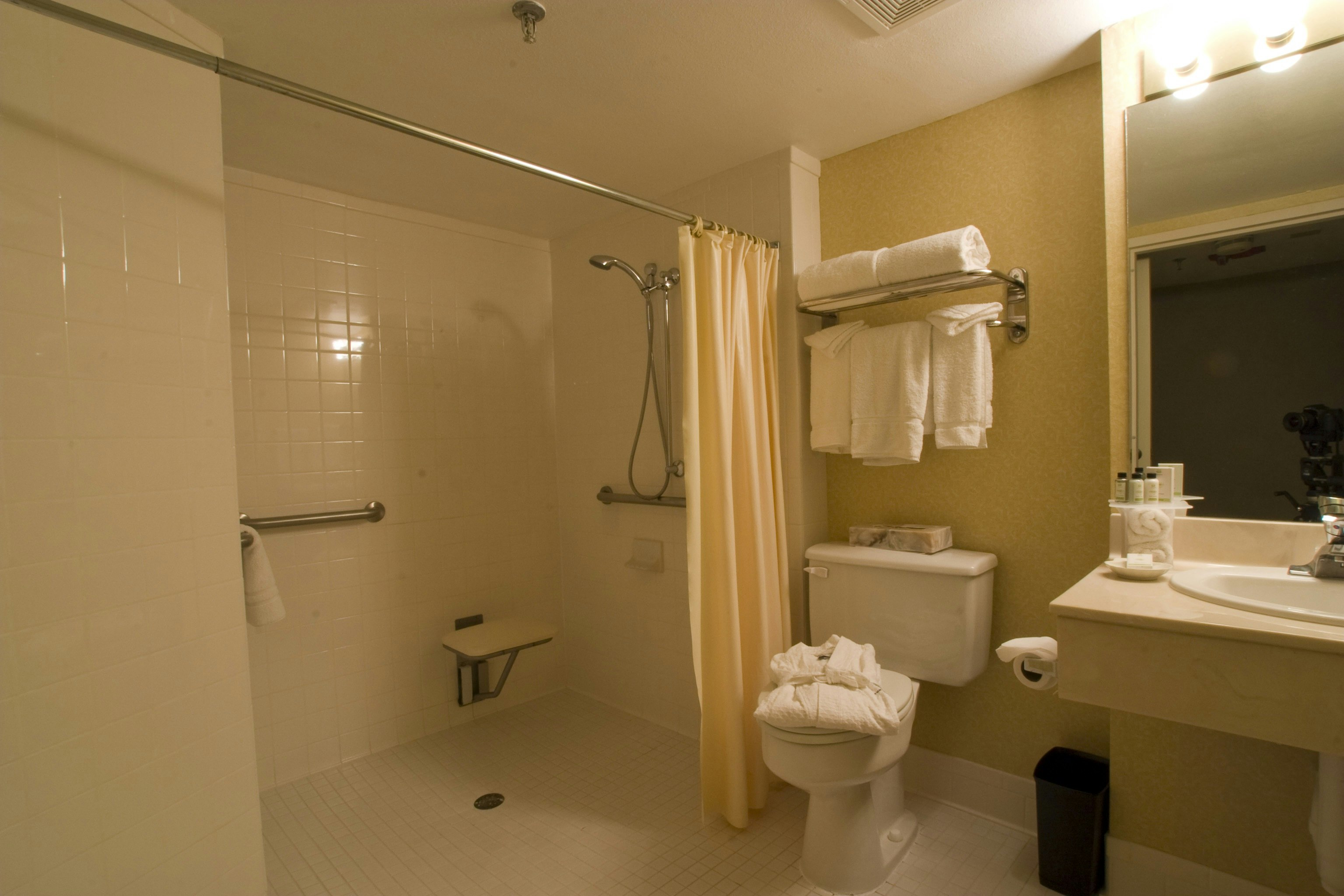 SUITE, KING BED, ACCESSIBLE