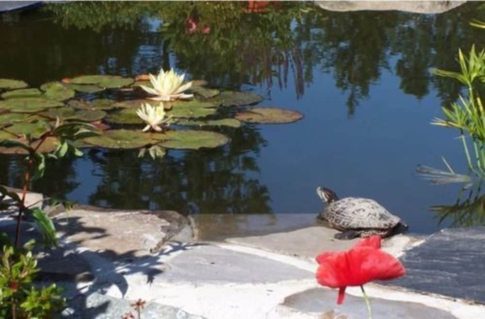 A Hidden Haven & Water Garden Cottages 39/48