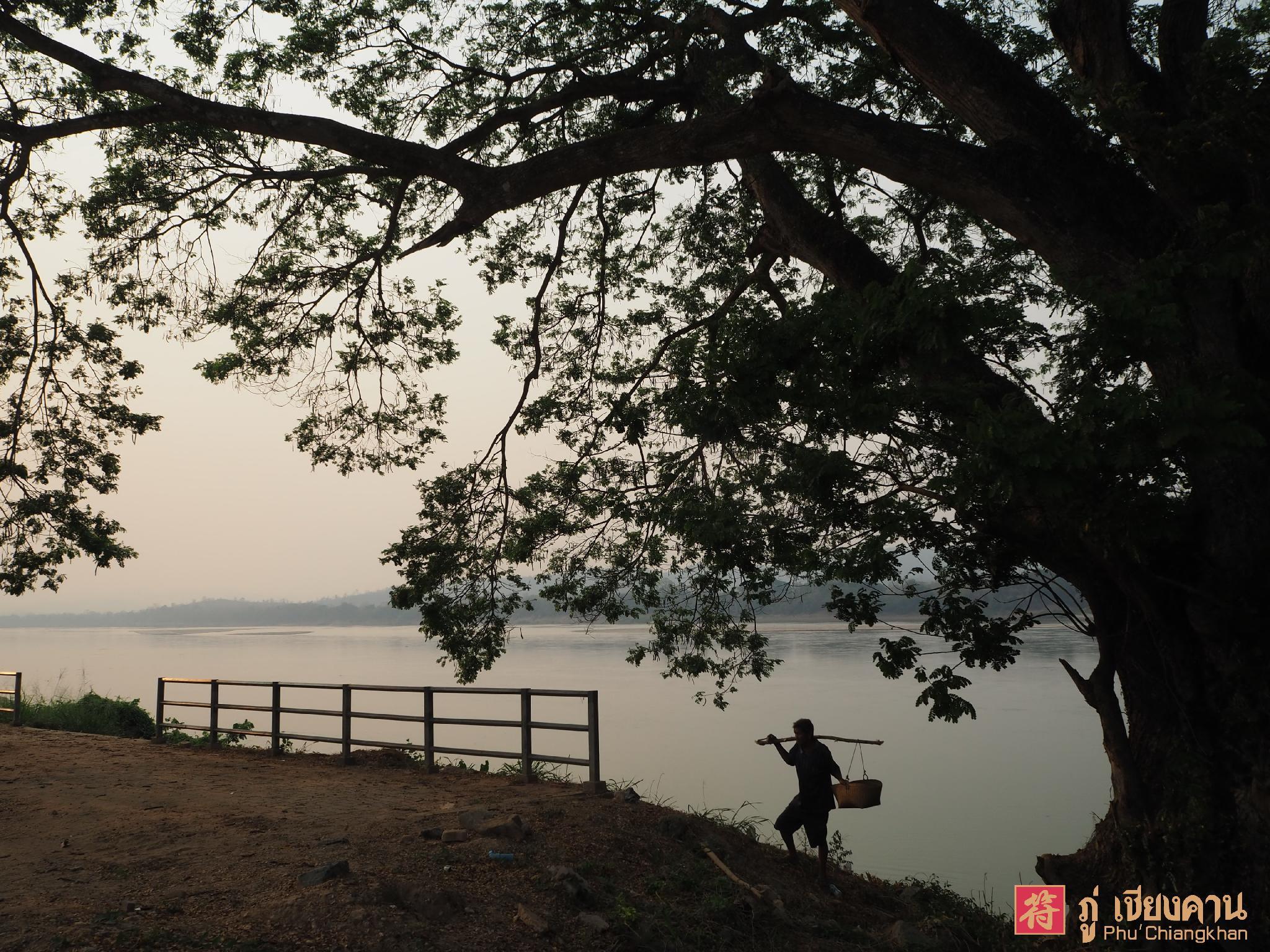 Phu Chiangkhan 31/34