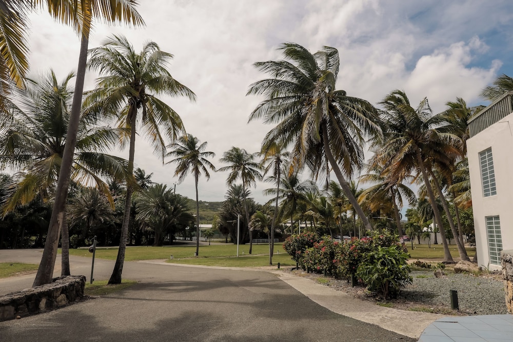 THE PALMS AT PELICAN COVE 55/66