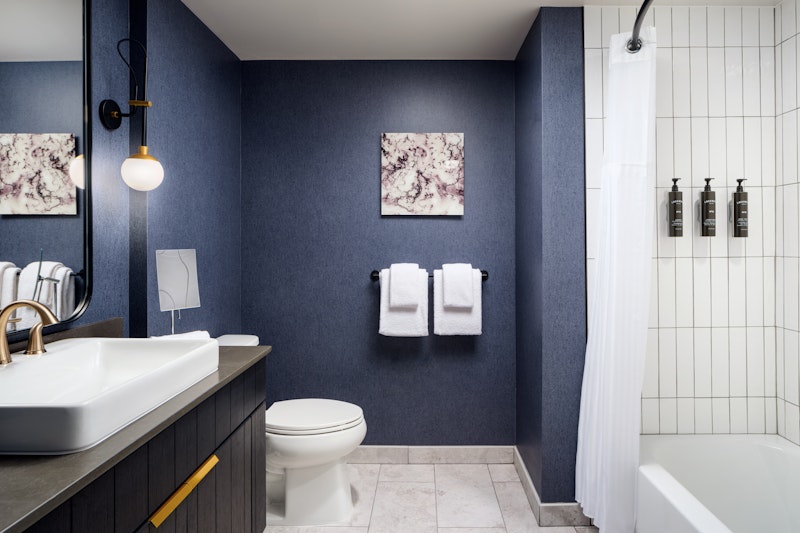 The Hoffmann Hotel Basalt Aspen, Tapestry Collection by Hilton 26/26