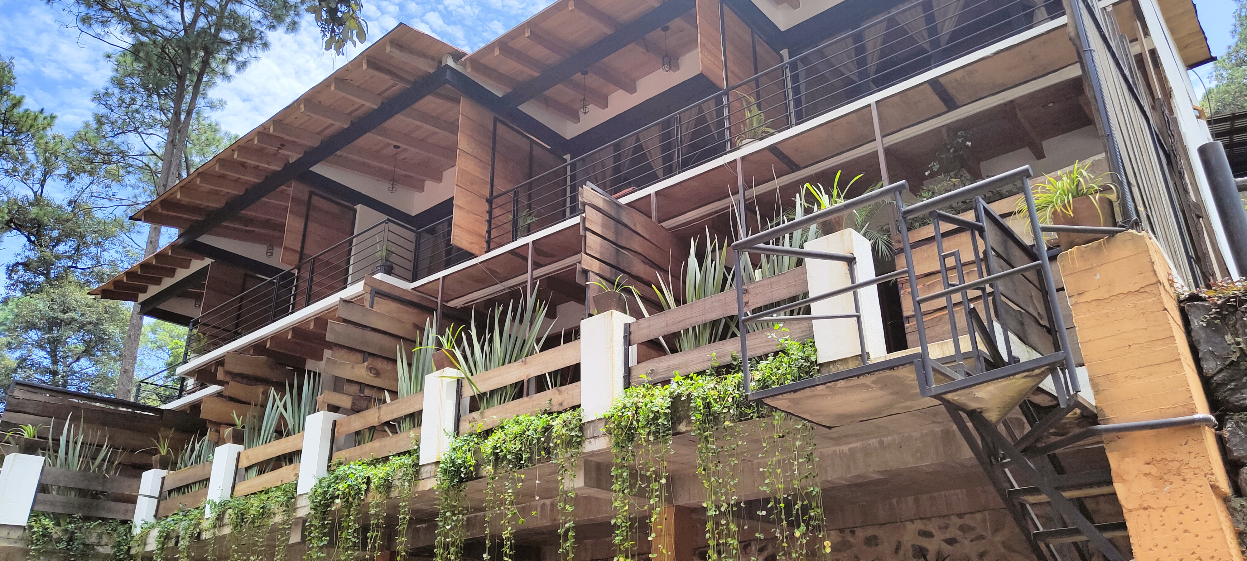 Encino House 5/50