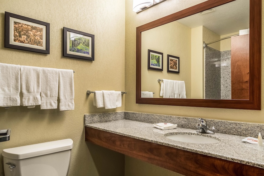 Comfort Suites Near Texas State University 11/32