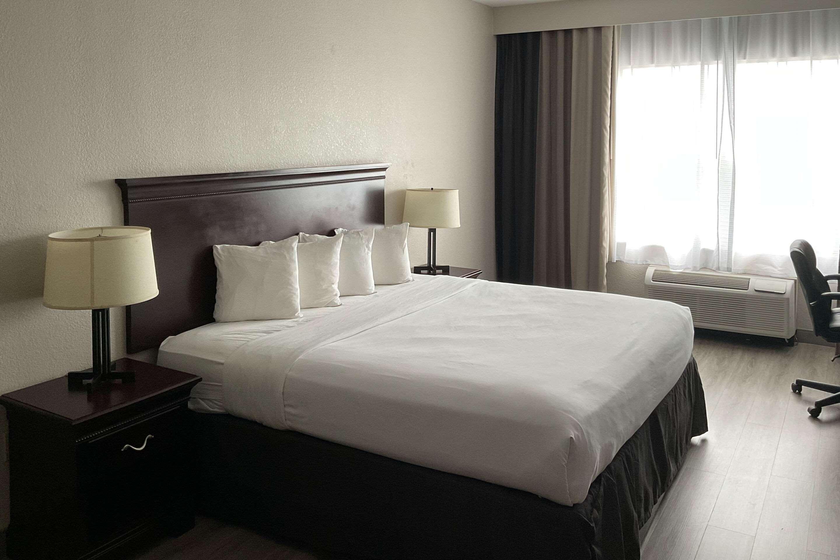 SUITE, KING BED