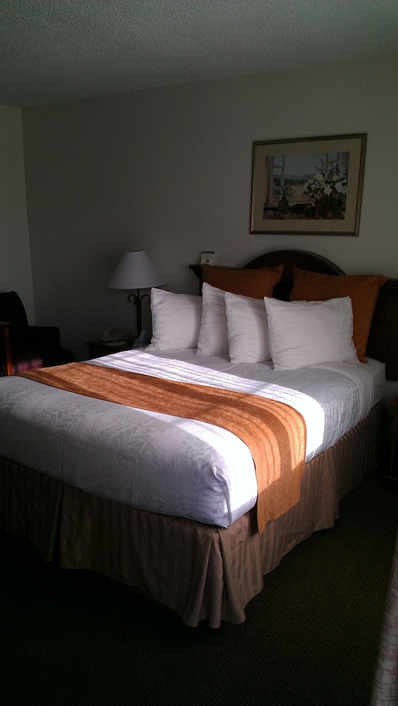 Best Western Inn Merced 16/43