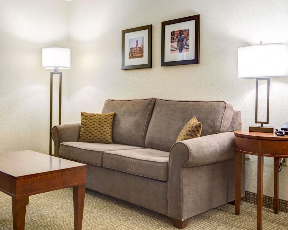 Comfort Inn & Suites Clemson - University Area 27/49