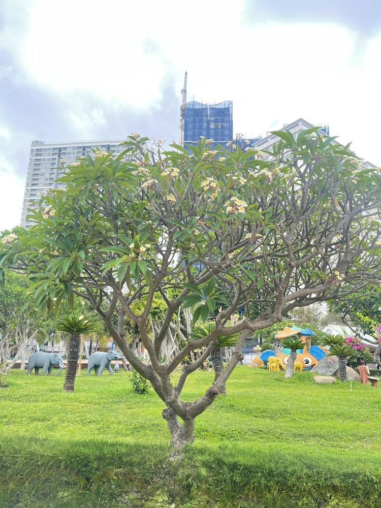 Lotus Vung Tau Resort 45/62