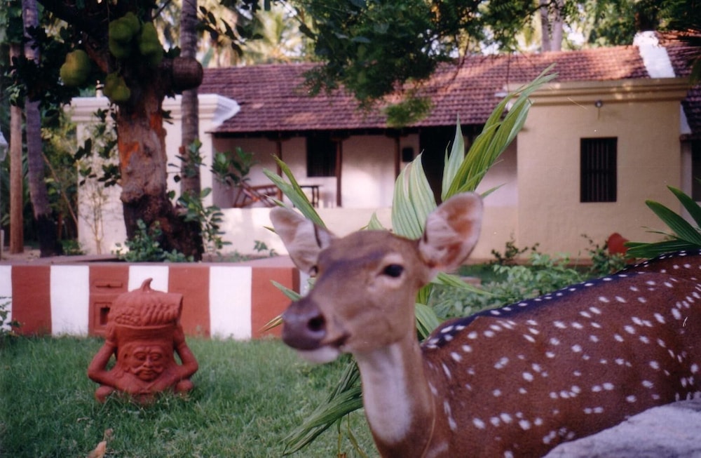 Indeco Hotels Swamimalai 37/38