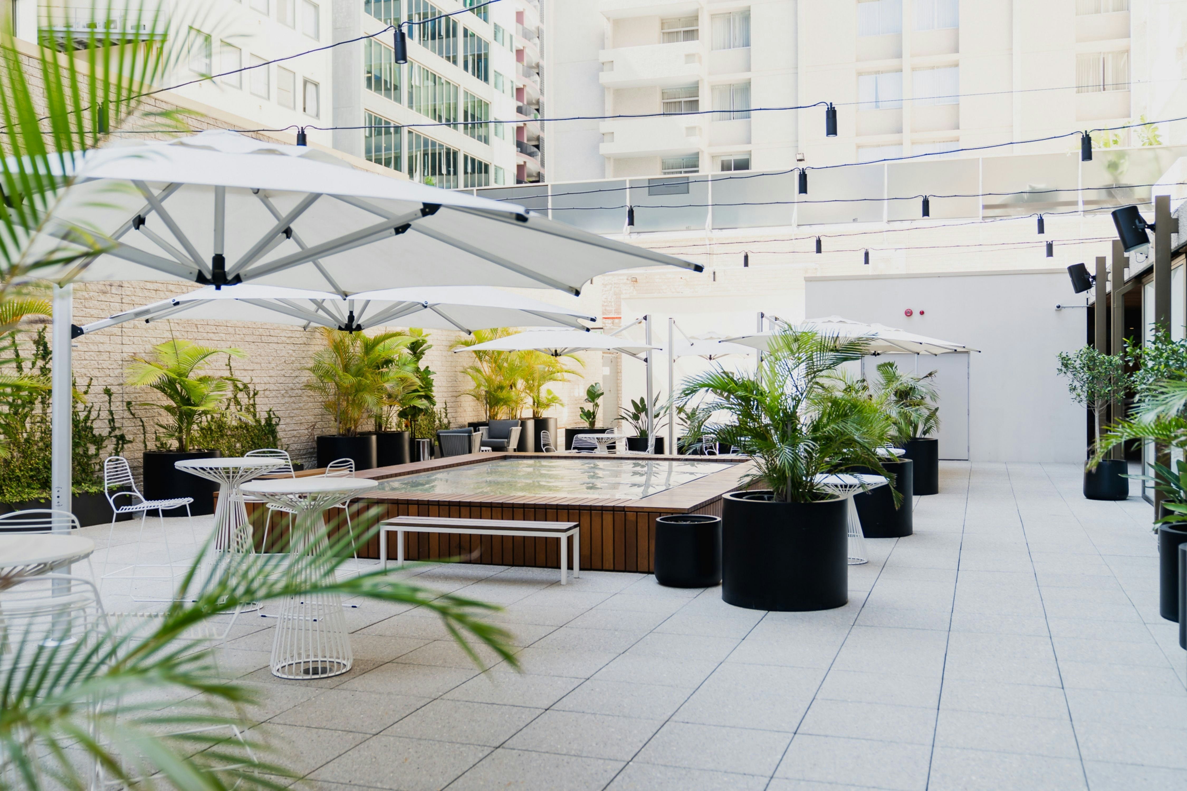 Parmelia Hilton 3/65