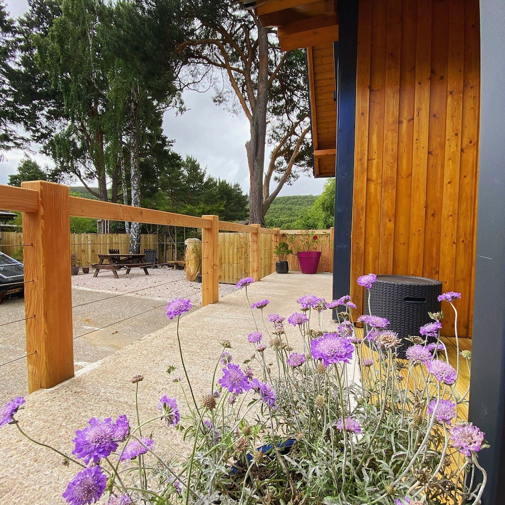Ravenscraig Guest House B&B 27/50