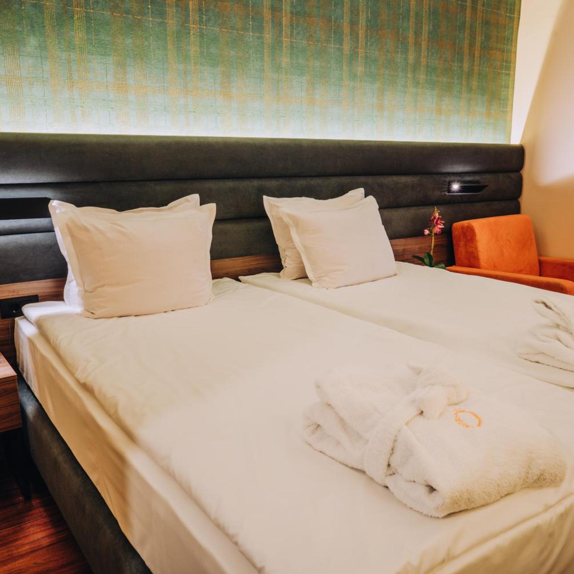 Inex Olgica Hotel & Spa Ohrid 15/50