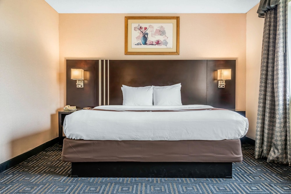 Quality Inn & Suites Mall of America - MSP Airport 13/38