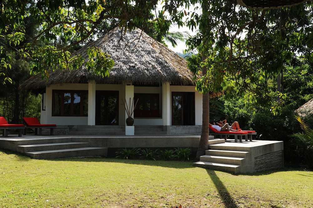 The Jungle Club 39/50