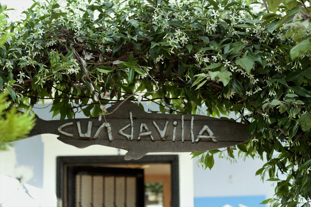 Cundavilla 42/50