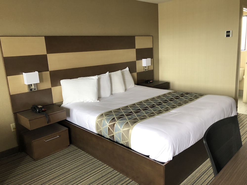 Americas Best Value Inn San Carlos San Francisco 20/39