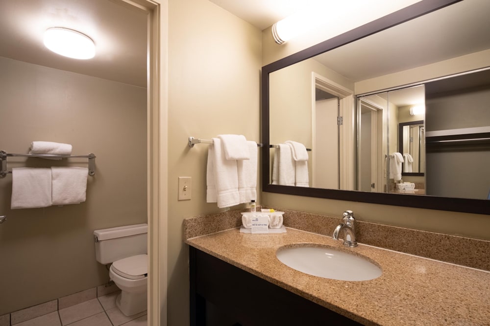 Holiday Inn Express Hotel And Suites Pittsburgh Airport 19/64