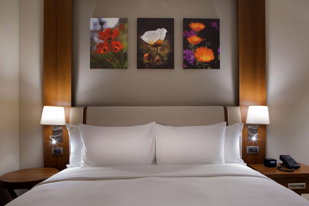 Hilton Garden Inn Istanbul Beylikduzu 13/61