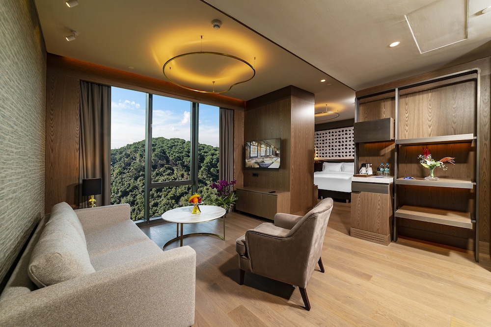 Radisson Collection Hotel Vadistanbul 53/75