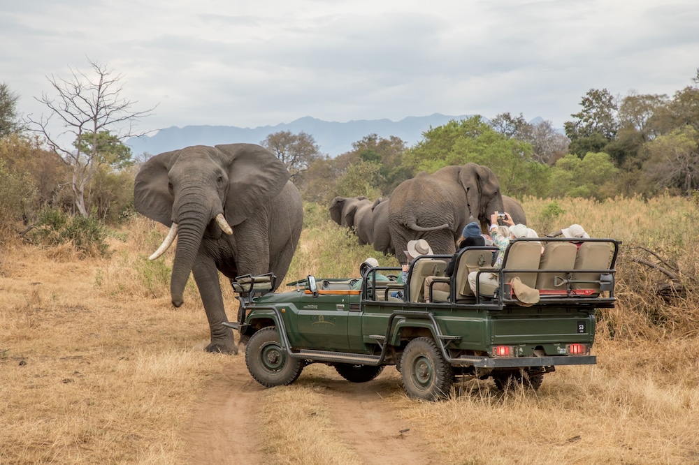 Becks Safari Lodge 70/77