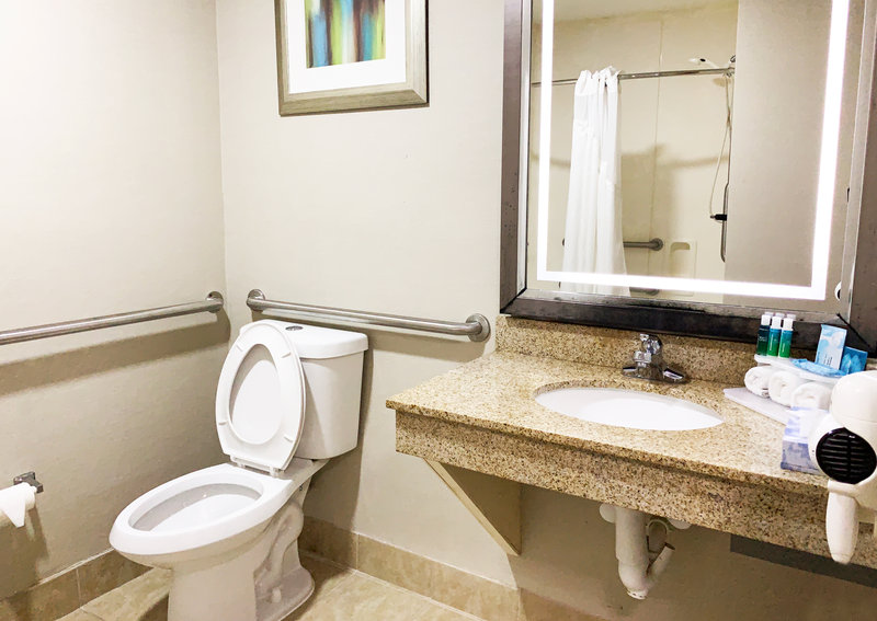 Holiday Inn Express Hotel Suites Gainesville 62/64