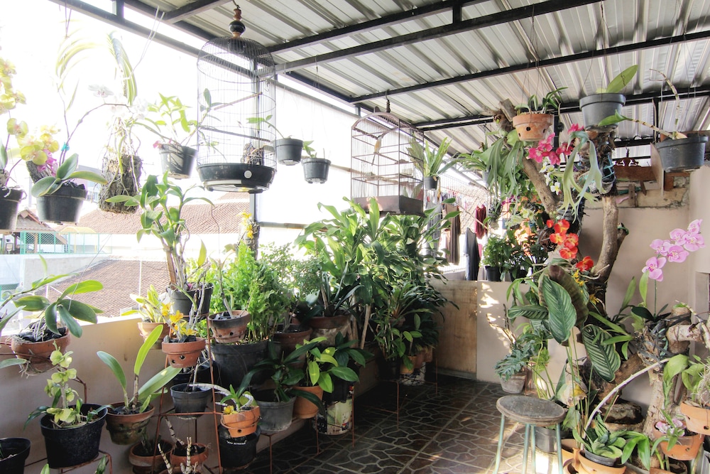 Wanderlust Homestay 40/42